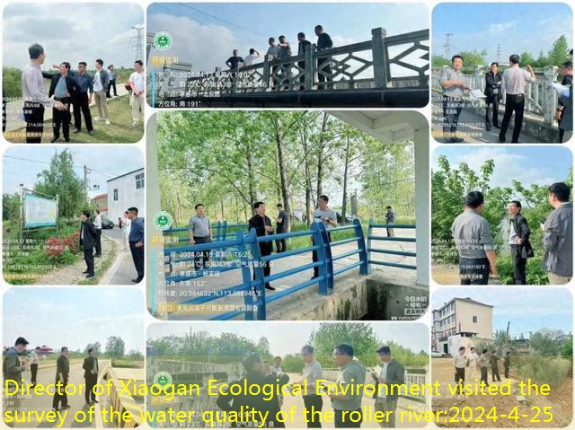 Director of Xiaogan Ecological Environment visited the survey of the water quality of the roller river